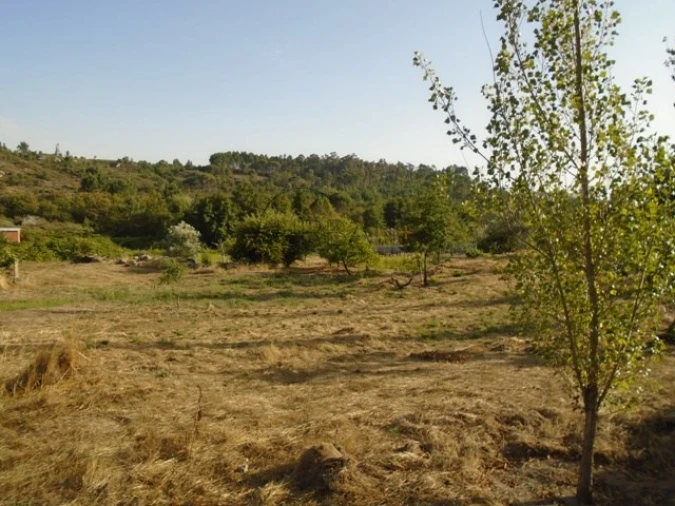 Quinta para Venda em Faíl e Vila Chã de Sá Foto 4