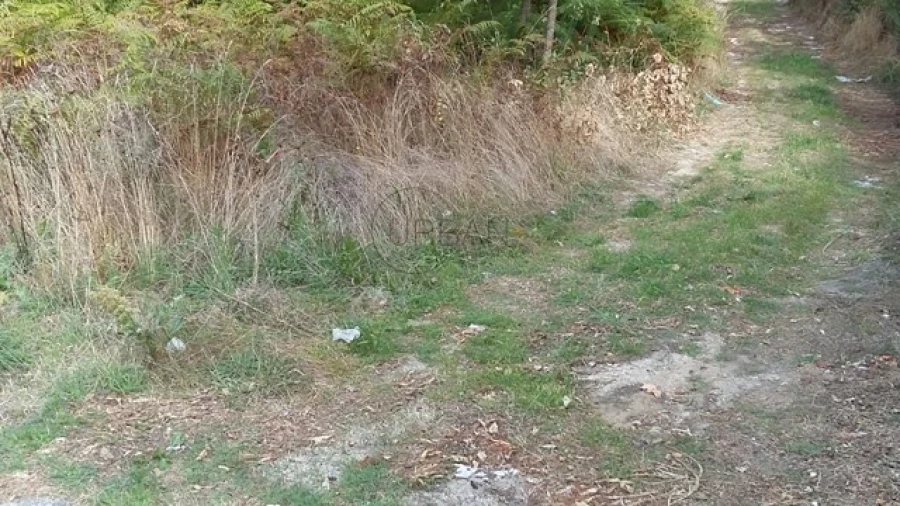 Quinta para Venda em Silgueiros Foto 2