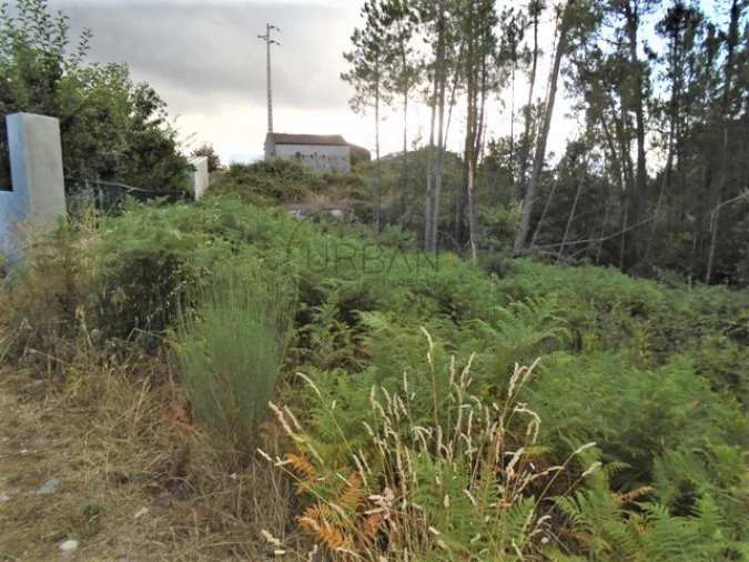 Terreno para Venda em Lordosa Foto 1