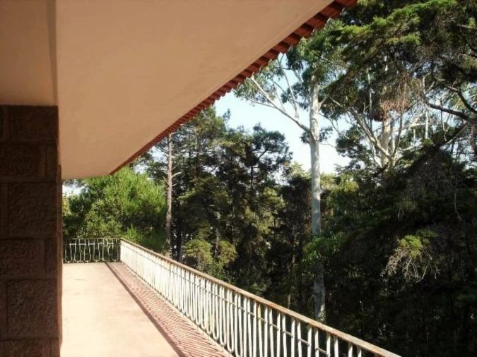 Quinta T15 para Venda em Almargem do Bispo, Pêro Pinheiro e Montelavar Foto 10