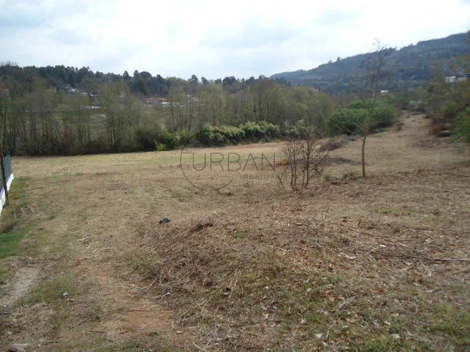 Quinta para Venda em Fragosela