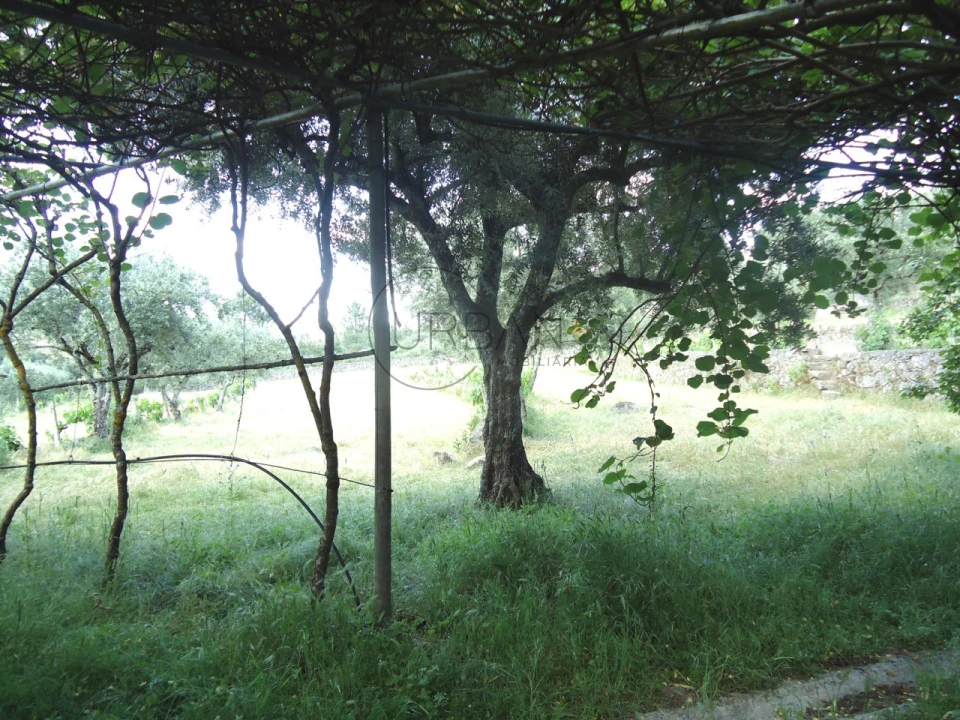 Quinta T6 para Venda em Tavares (Chãs, Várzea e Travanca) Foto 23