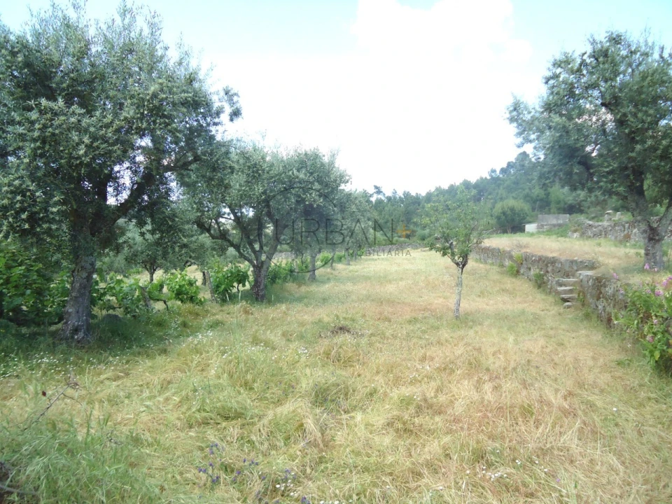 Quinta T6 para Venda em Tavares (Chãs, Várzea e Travanca) Foto 25