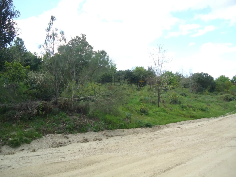Quinta para Venda em Quintela de Azurara Foto 3