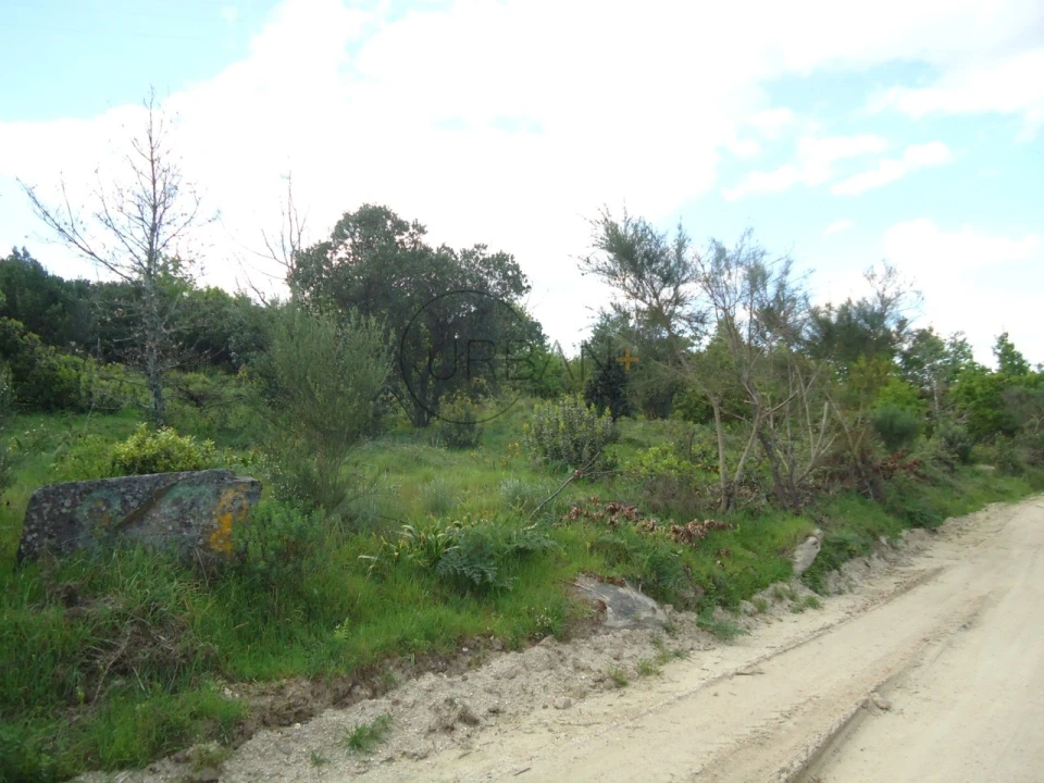 Quinta para Venda em Quintela de Azurara Foto 6