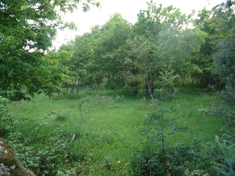 Quinta para Venda em Quintela de Azurara Foto 10
