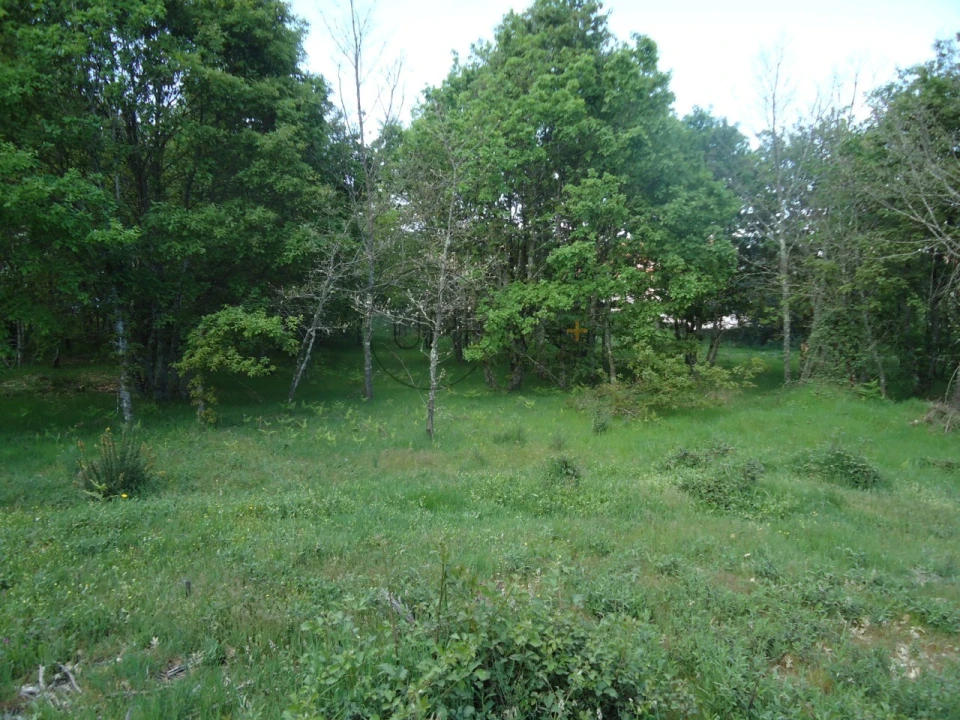 Quinta para Venda em Quintela de Azurara Foto 16