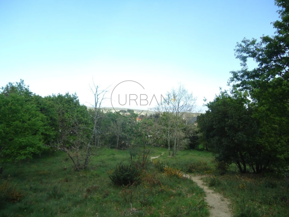 Quinta para Venda em Quintela de Azurara Foto 18