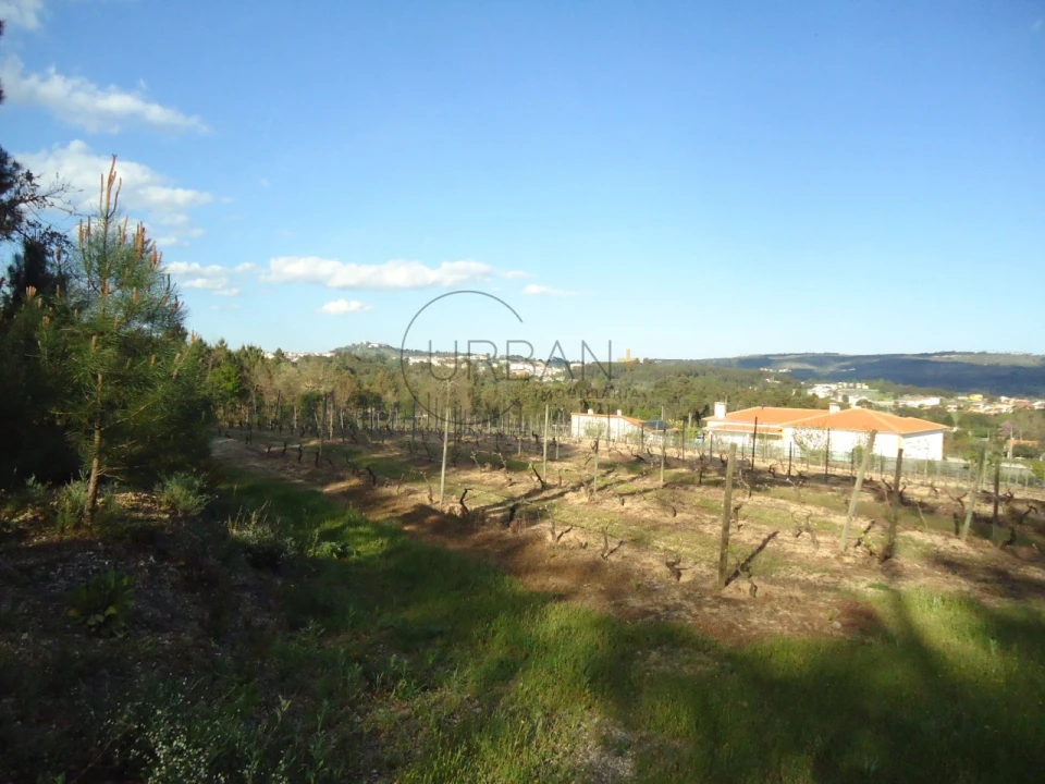 Quinta para Venda em Quintela de Azurara Foto 22
