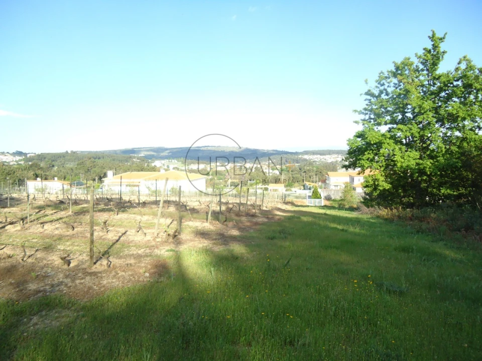 Quinta para Venda em Quintela de Azurara Foto 23