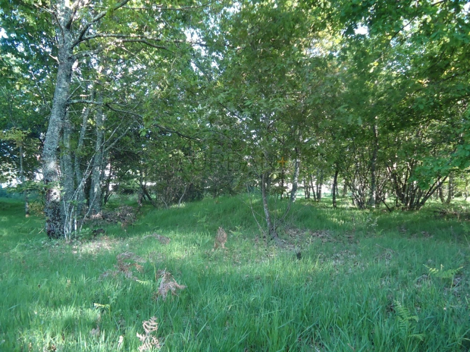 Quinta para Venda em Quintela de Azurara Foto 26