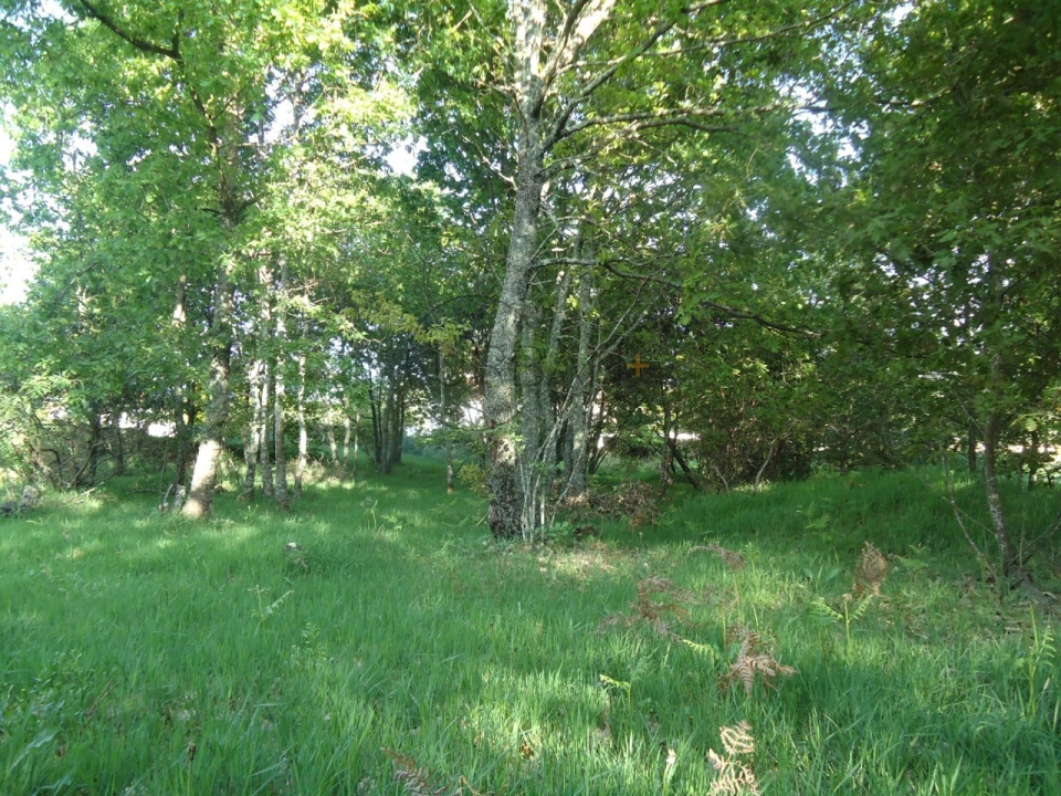 Quinta para Venda em Quintela de Azurara Foto 27