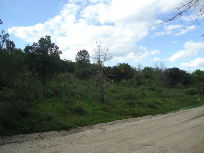 Quinta para Venda em Quintela de Azurara Foto 4