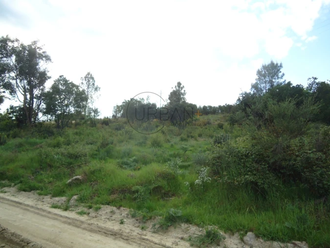 Quinta para Venda em Quintela de Azurara Foto 5