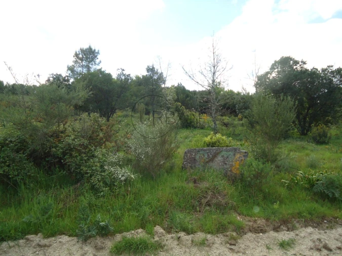 Quinta para Venda em Quintela de Azurara Foto 7