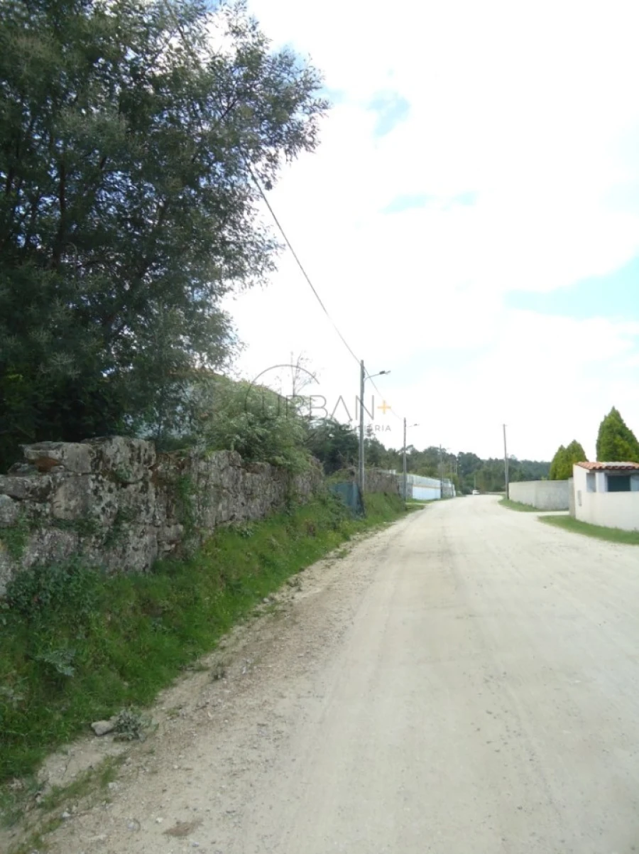 Quinta para Venda em Quintela de Azurara Foto 9