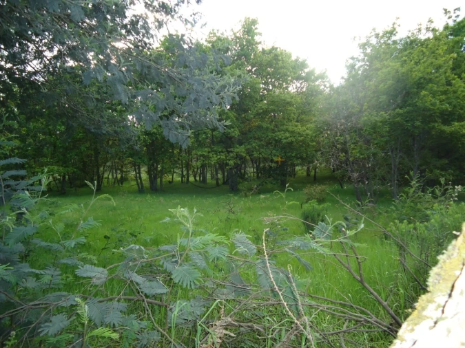Quinta para Venda em Quintela de Azurara Foto 12