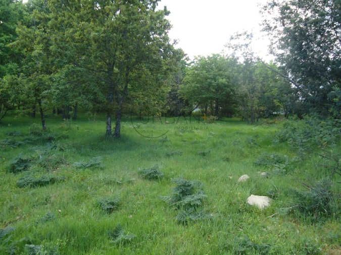 Quinta para Venda em Quintela de Azurara Foto 13