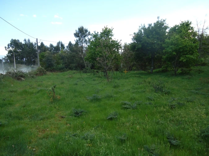 Quinta para Venda em Quintela de Azurara Foto 14