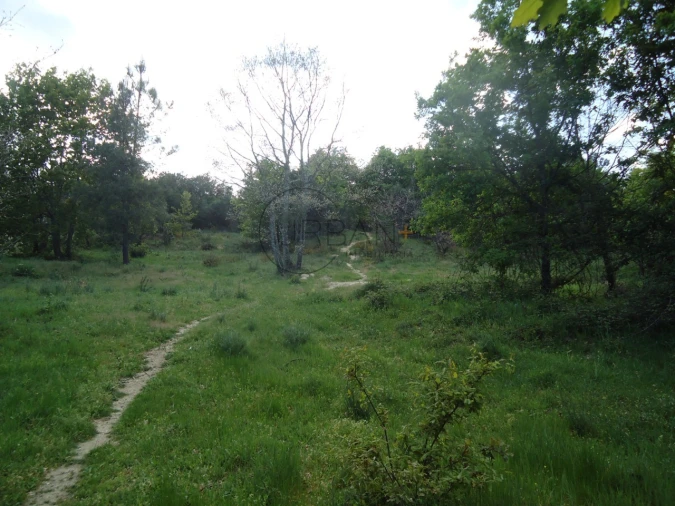 Quinta para Venda em Quintela de Azurara Foto 15