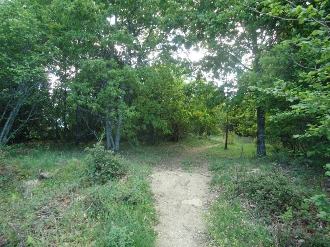 Quinta para Venda em Quintela de Azurara Foto 17