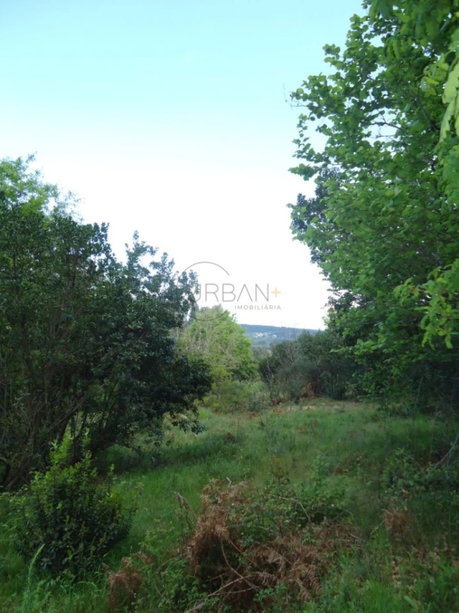 Quinta para Venda em Quintela de Azurara Foto 20