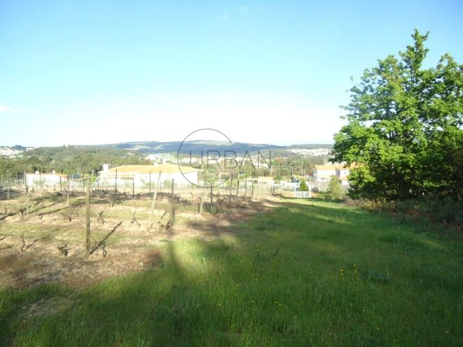 Quinta para Venda em Quintela de Azurara Foto 23