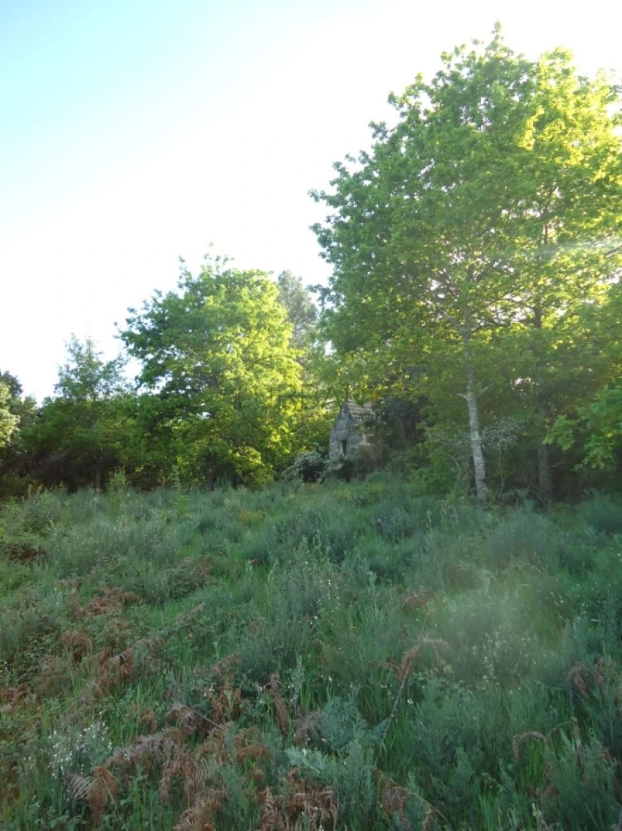 Quinta para Venda em Quintela de Azurara Foto 24