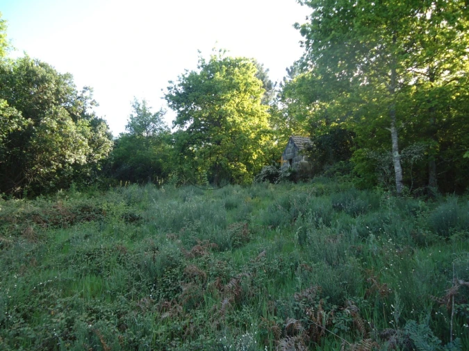 Quinta para Venda em Quintela de Azurara Foto 25