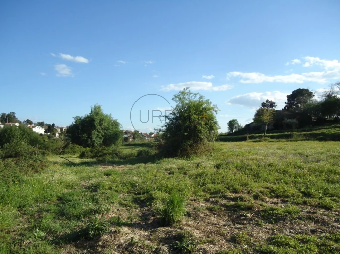 Quinta para Venda em Mangualde, Mesquitela e Cunha Alta Foto 3