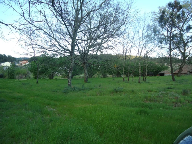 Quinta para Venda em Mangualde, Mesquitela e Cunha Alta Foto 6