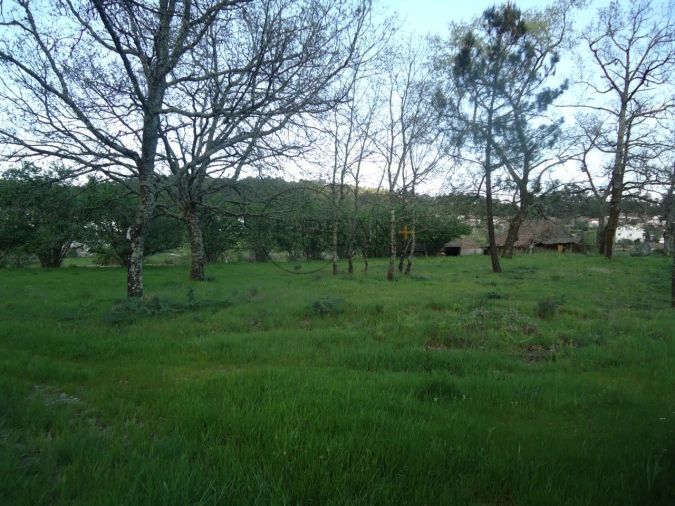 Quinta para Venda em Mangualde, Mesquitela e Cunha Alta Foto 7