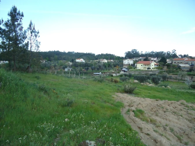 Quinta para Venda em Mangualde, Mesquitela e Cunha Alta Foto 16