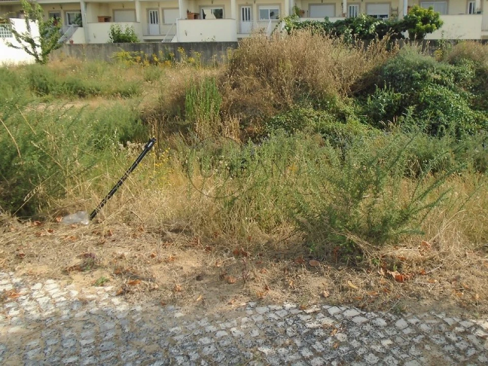 Terreno para Venda em Viseu Foto 1