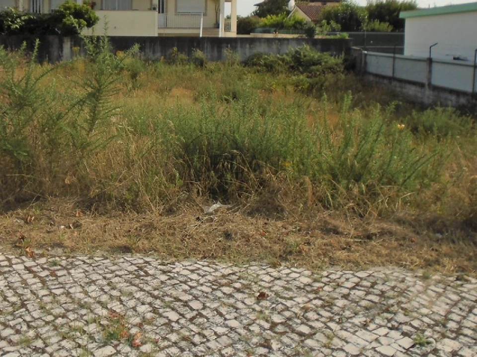 Terreno para Venda em Viseu Foto 2