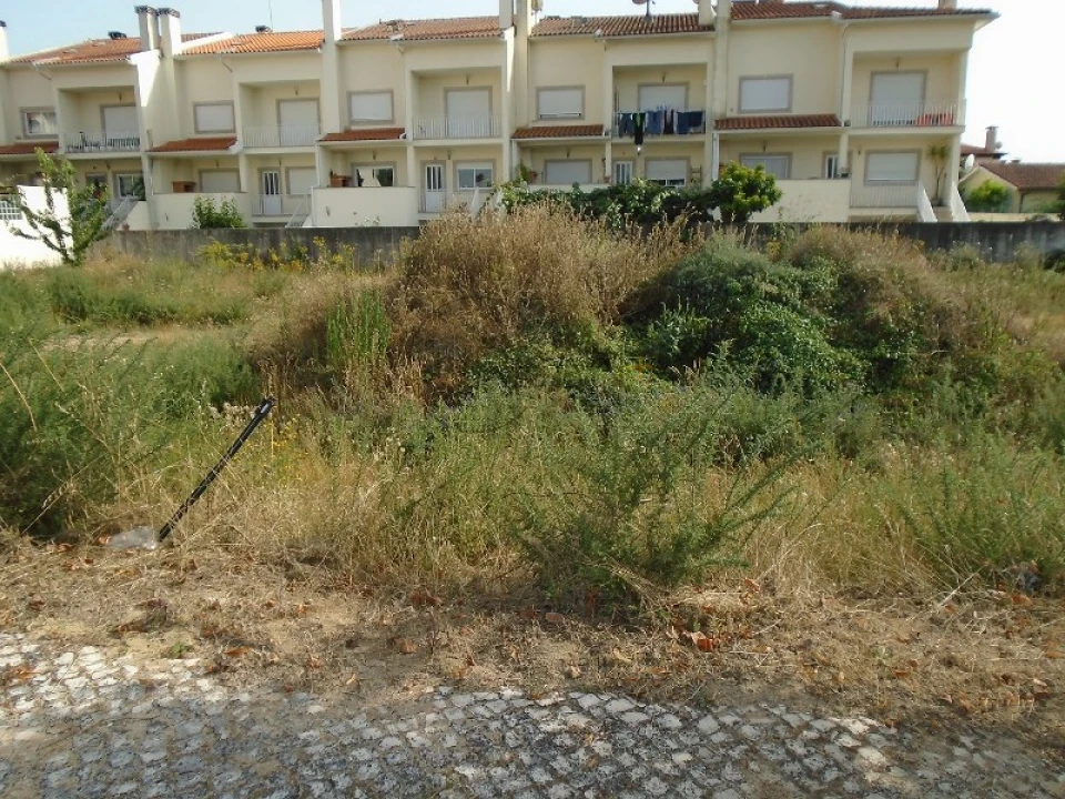 Terreno para Venda em Viseu Foto 3