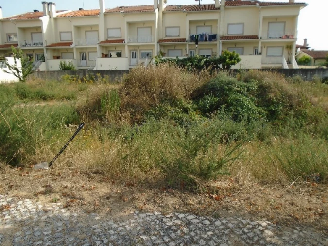 Terreno para Venda em Viseu Foto 3