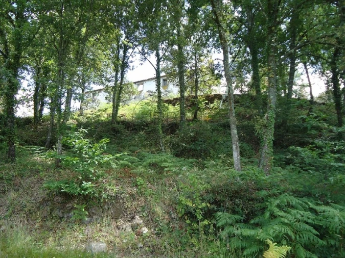 Quinta para Venda em Povolide Foto 6