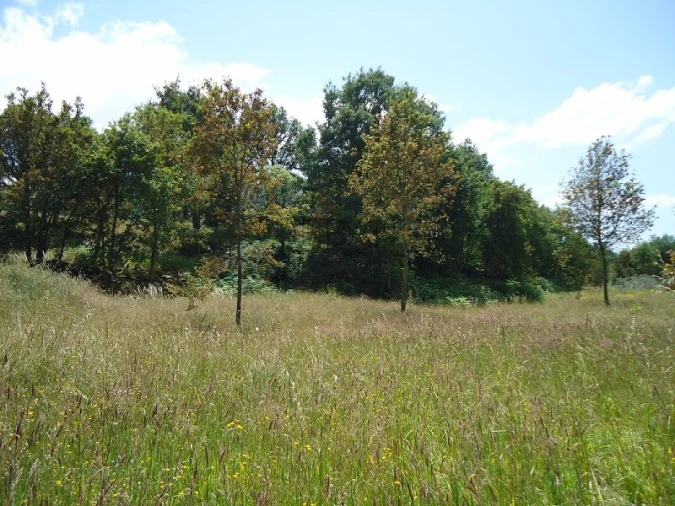 Quinta para Venda em Povolide Foto 9