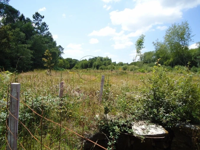 Quinta para Venda em Povolide Foto 15