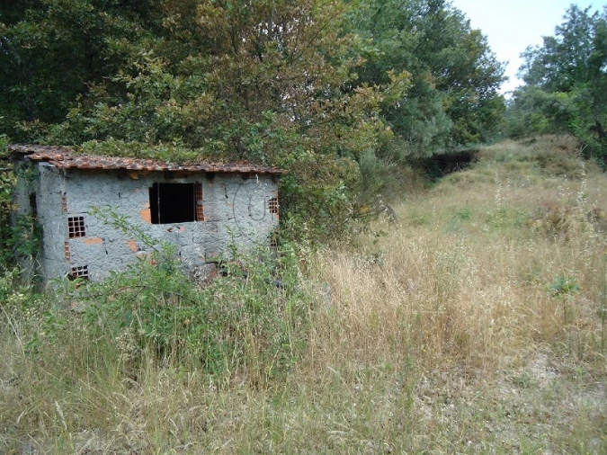 Quinta para Venda em Povolide Foto 16