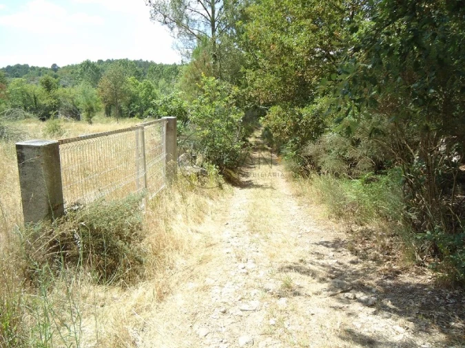 Quinta para Venda em Povolide Foto 23