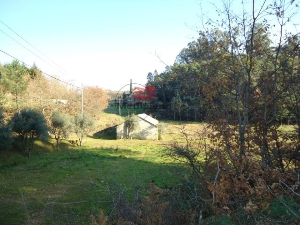 Terreno para Venda em Satão Foto 5