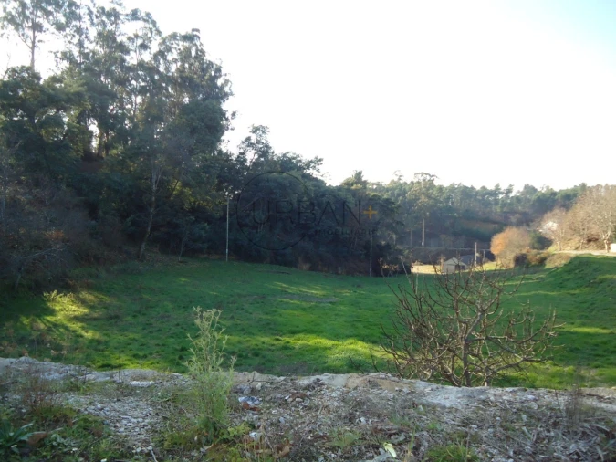 Terreno para Venda em Satão