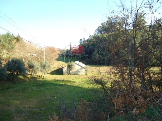 Terreno para Venda em Satão Foto 5