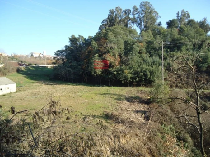 Terreno para Venda em Satão Foto 6