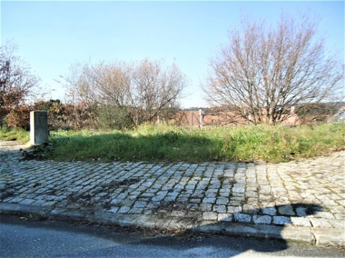 Terreno para Venda em Mundão Foto 2