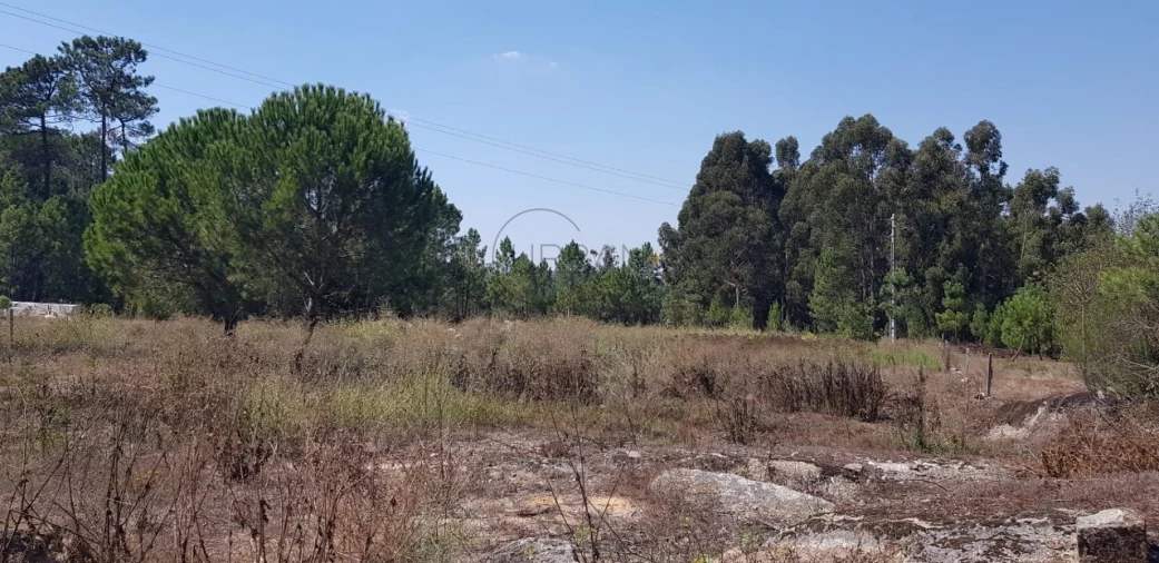 Terreno para Venda em São João de Lourosa