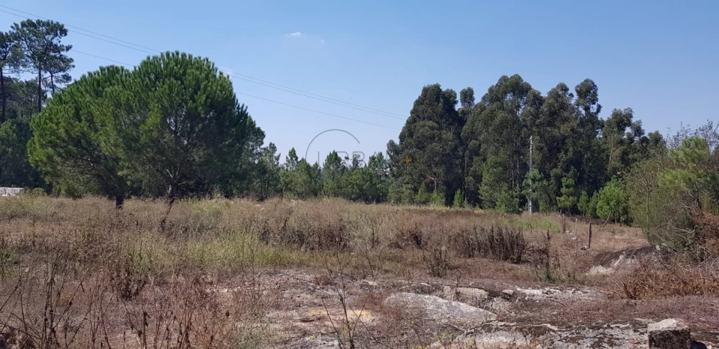Terreno para Venda em São João de Lourosa Foto 3