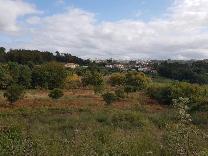 Quinta para Venda em Orgens